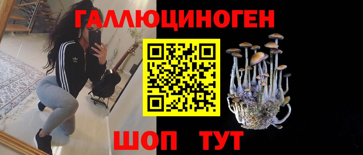 Коряжма  Галлюциногенные грибы Psilocybine cubensis  Вход с VPN 